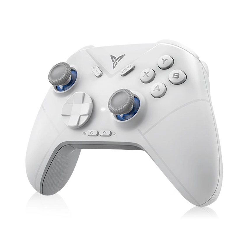 Tay cầm chơi game FLYDIGI Direwolf 3 Màu Xám